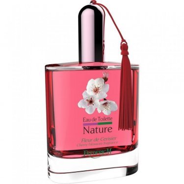 Nature: Fleur de Cerisier