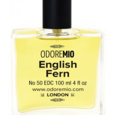 No 50 English Fern