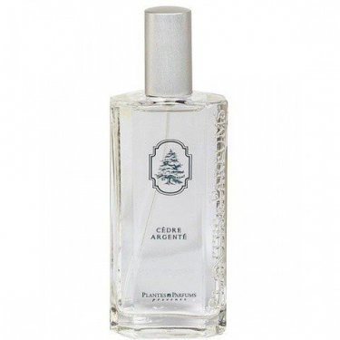Cèdre Argenté