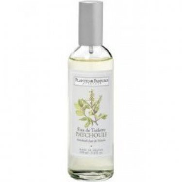 Patchouli