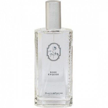 Rose Exquise
