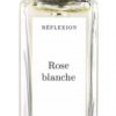 Rose blanche