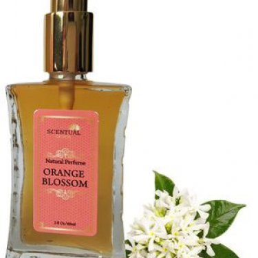 Orange Blossom (Eau de Parfum)