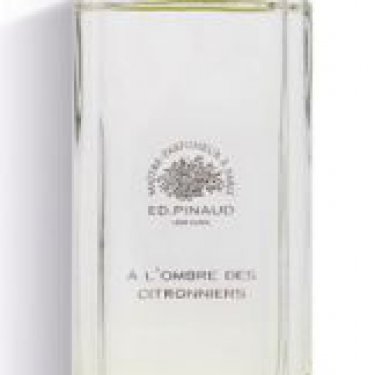 A L'Ombre des Citronniers