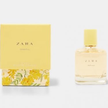 Zara Oriental