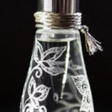 The Bird of Happiness / Птица Счастья