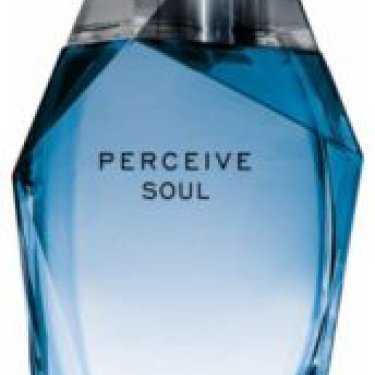 Perceive Soul for Him