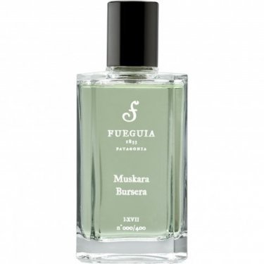 Muskara Bursera