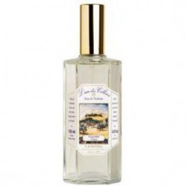 L'eau des Collines: Gingembre