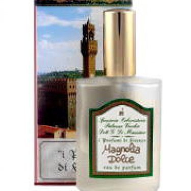 Magnolia Dolce / Magnolia Purpurea