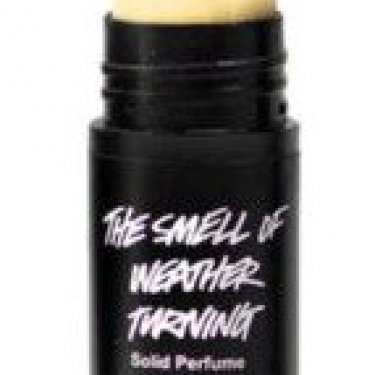 The Smell of Weather Turning (Solid Perfume)