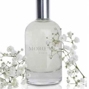 Morreale Parfum For Men