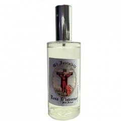 Gli Invisibili: Rosa D'inverno