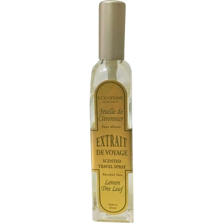 Feuille de Citronnier / Lemon Trea Leaf