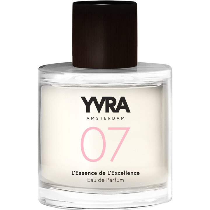 07 L'Essence de L'Excellence