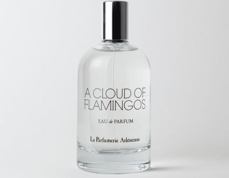 A Cloud of Flamingos