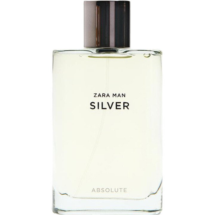 Zara Man Silver Absolute