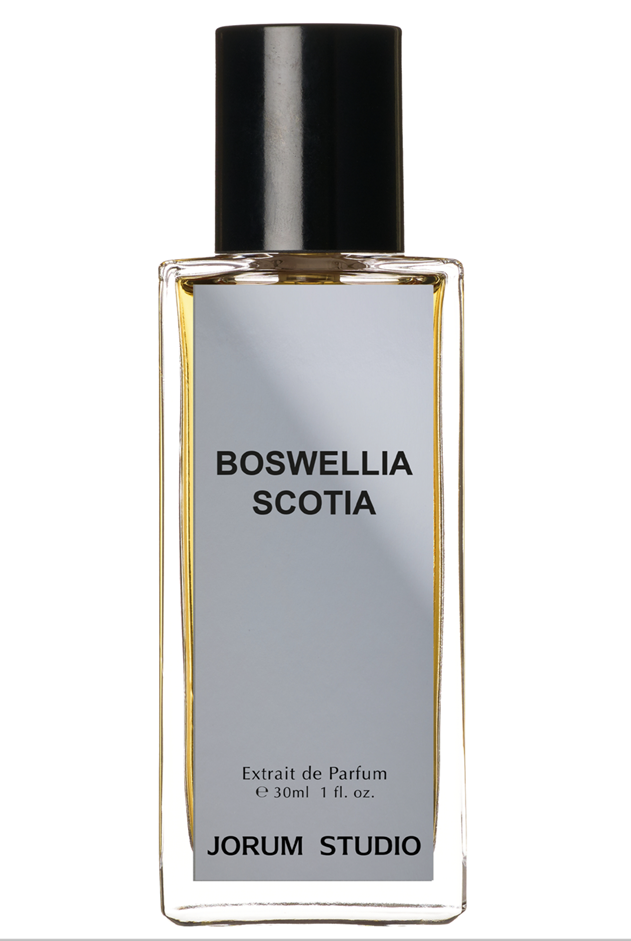 Boswellia Scotia