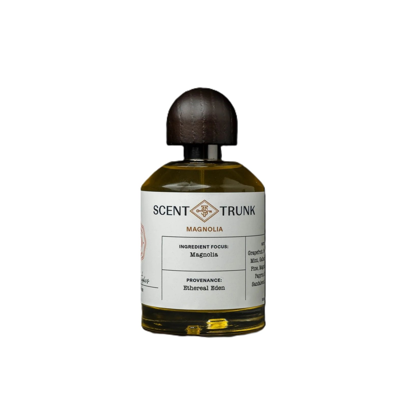 Magnolia / Ancient Magnolia