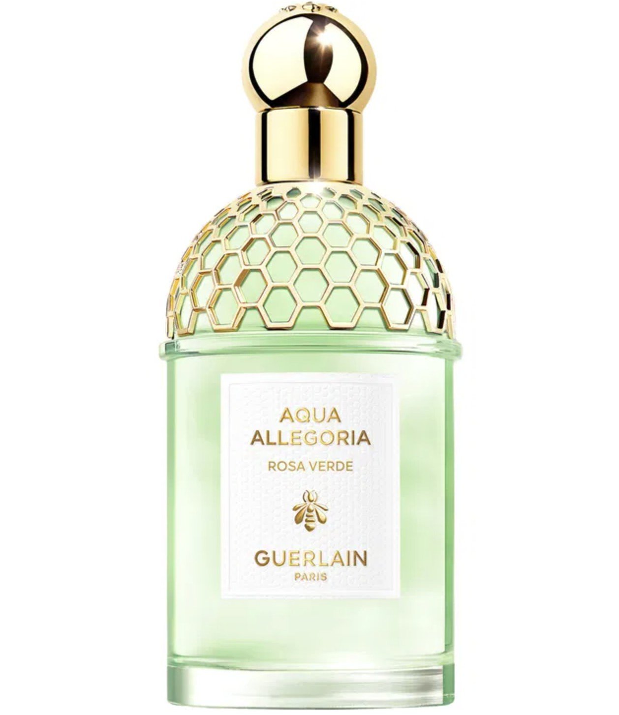 Aqua Allegoria Rosa Verde