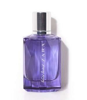 Wild Orchid