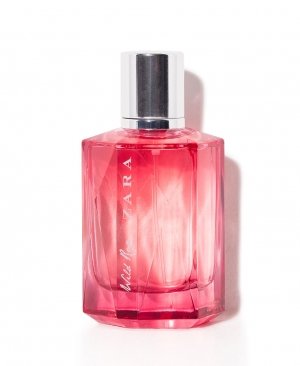 Wild Rose