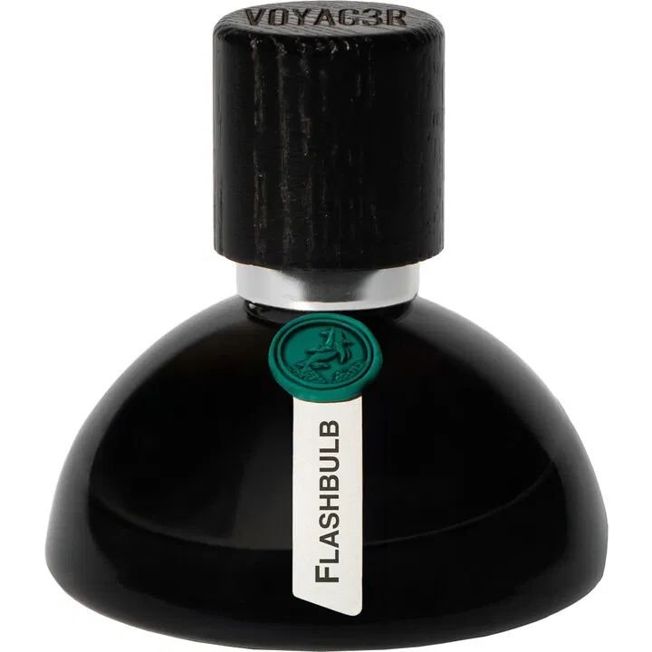 Voyagǝr: Flashbulb