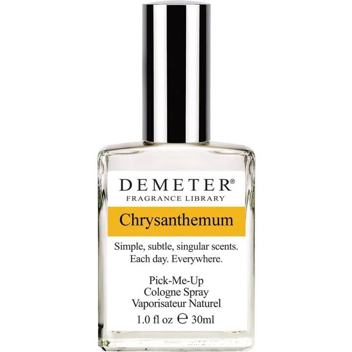 Chrysanthemum (Cologne)