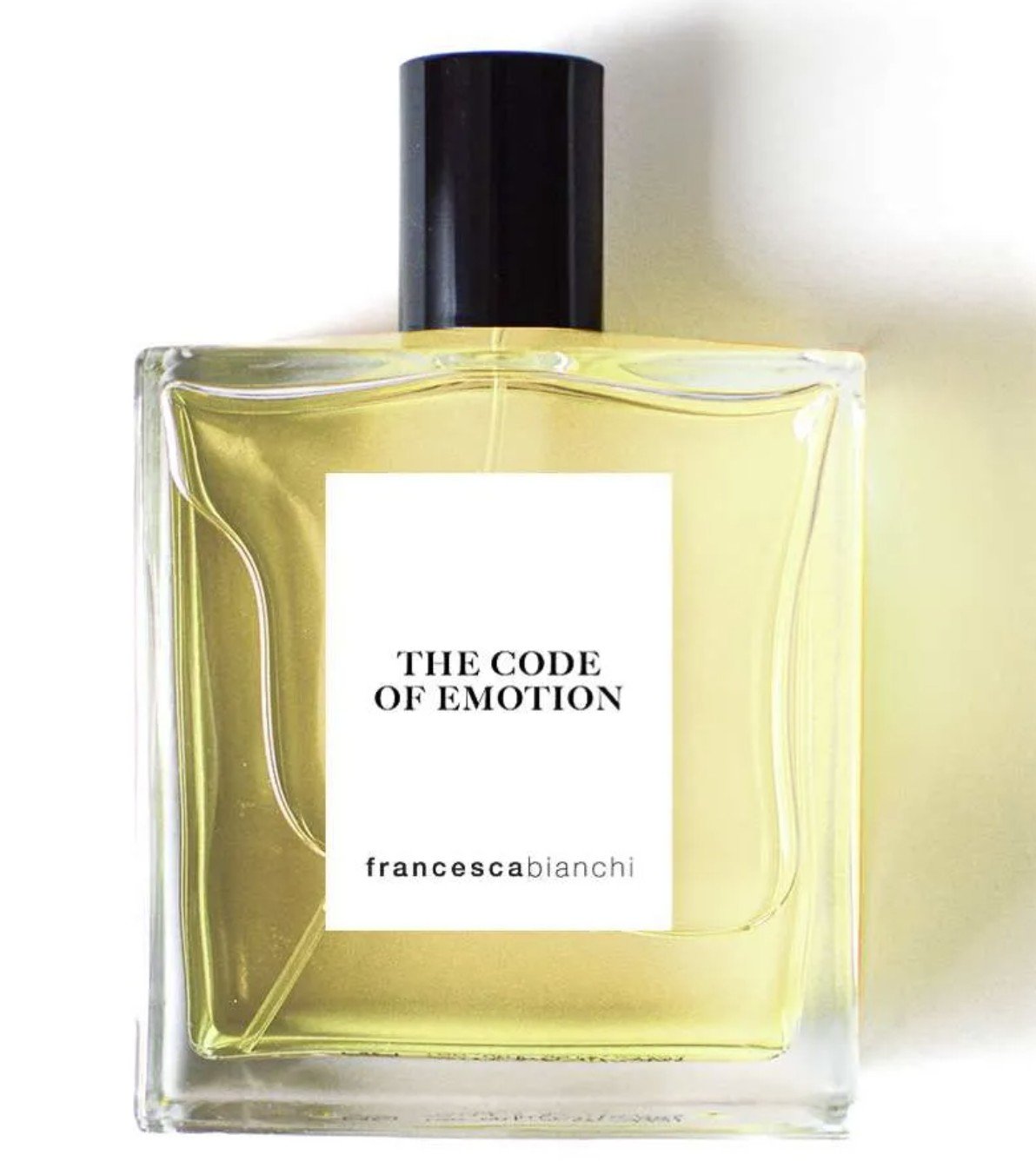 The Code of Emotion