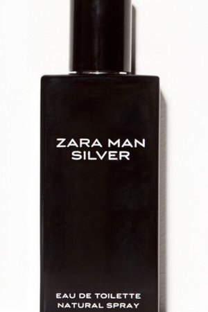 Zara Man Silver