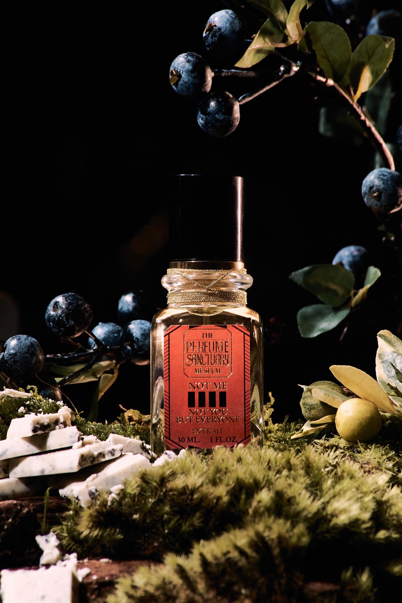 Not Me Not You But Everyone