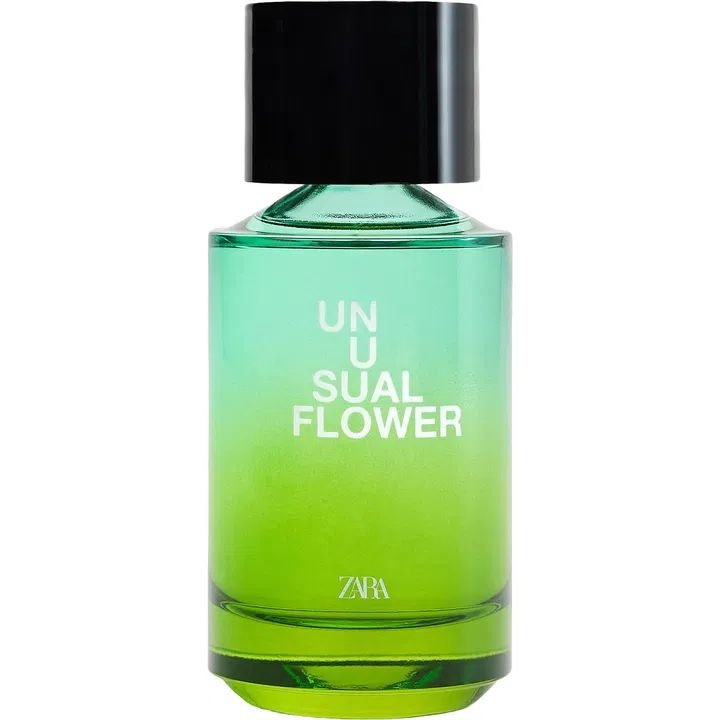 Unusual Flower (2025)