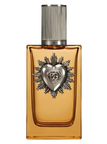 Devotion pour Homme Parfum