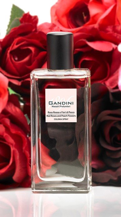 Rosa Rossa e Fiori di Pesco / Red Rose and Peach Blossom