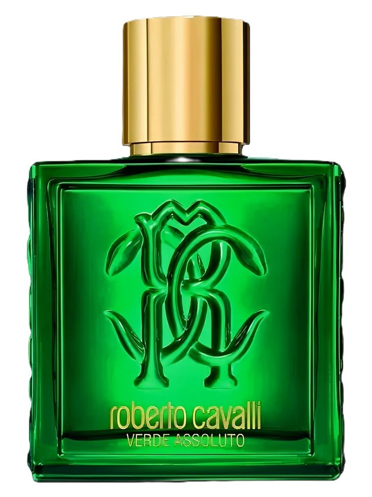 Roberto Cavalli Uomo Verde Assoluto