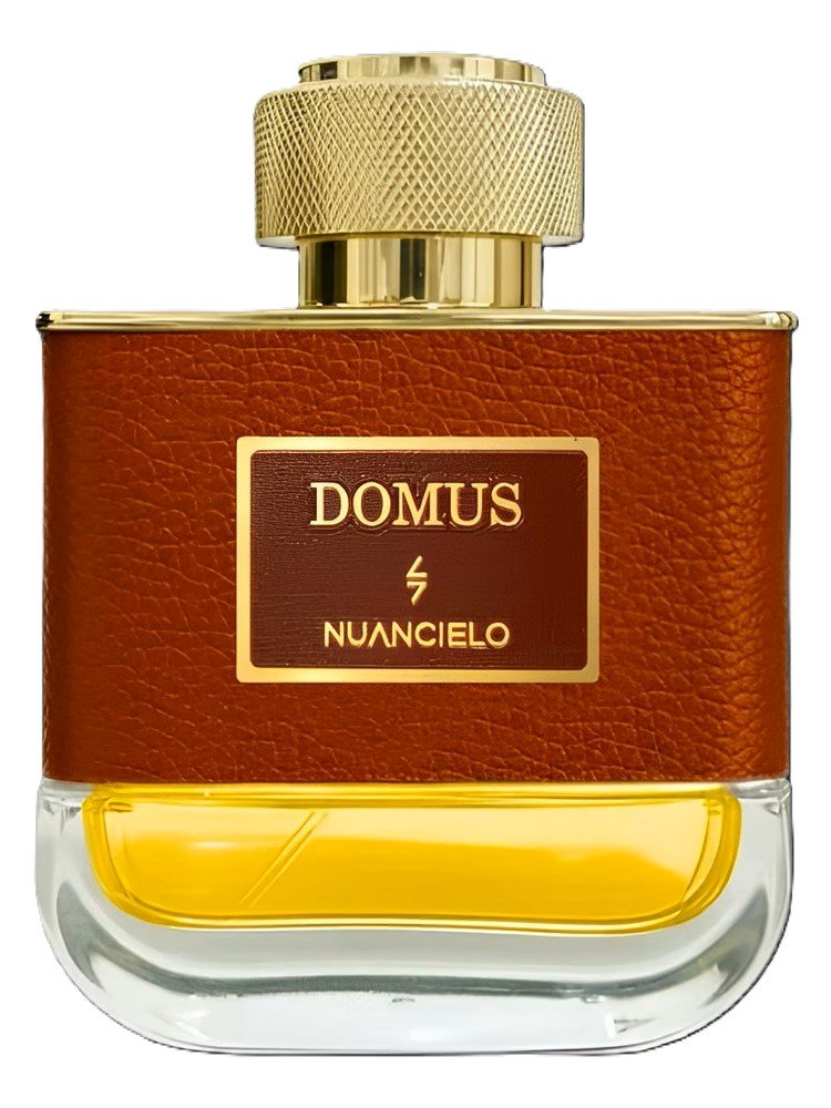 Domus