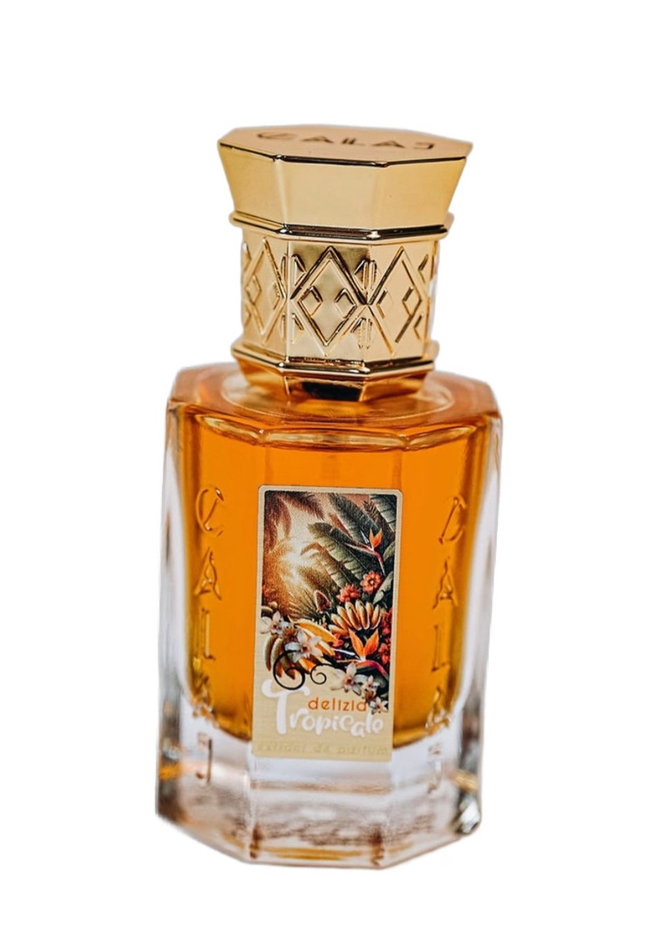 Delizia Tropicale