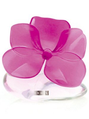 Very Flower Orchidea