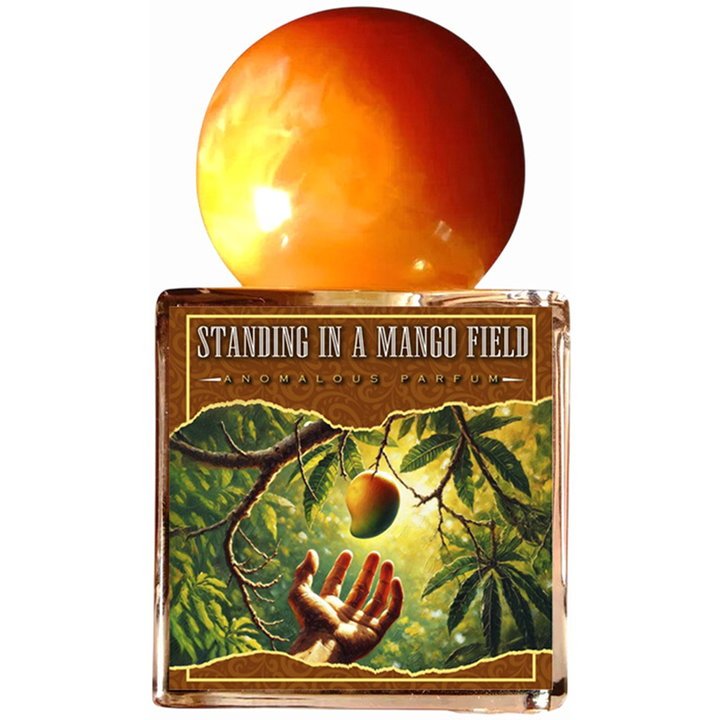 Standing in a Mango Field