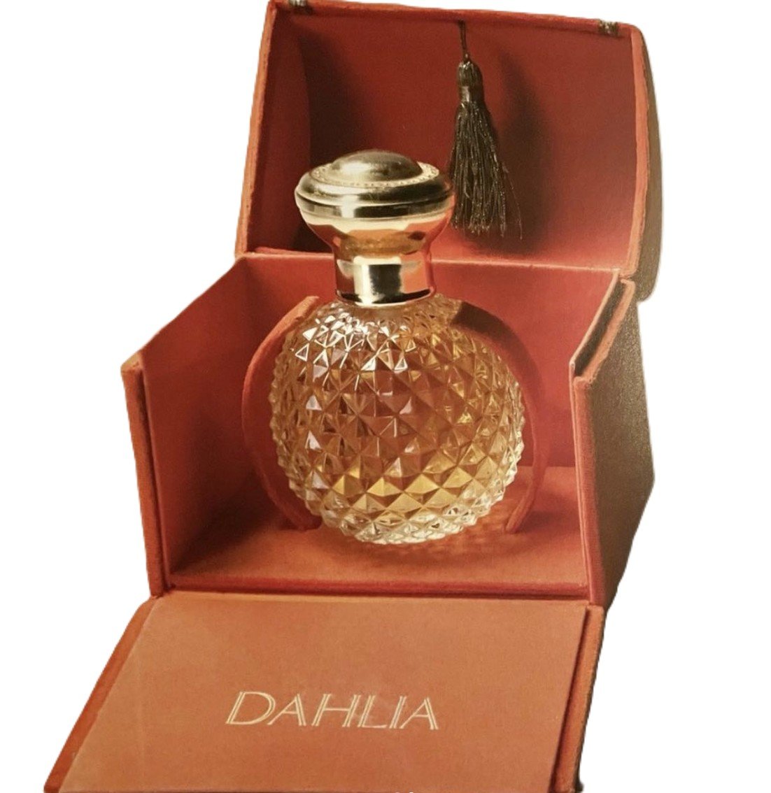 Dahlia