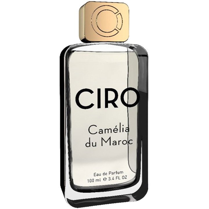 Camélia du Maroc (2025)