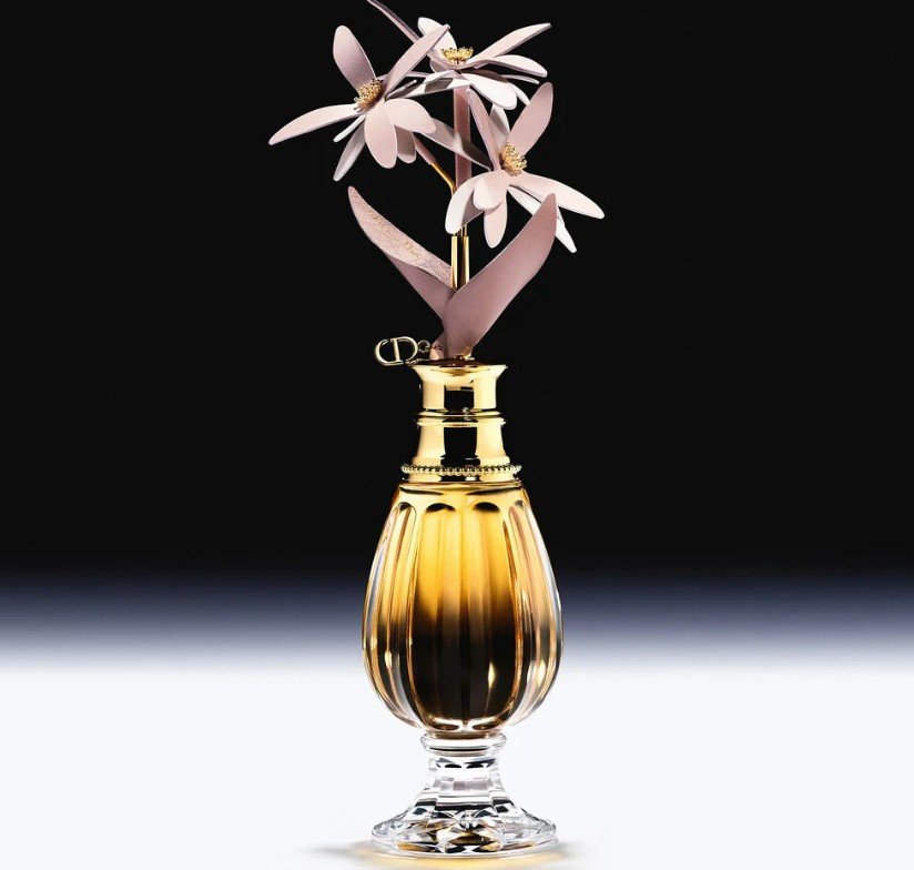Les Récoltes Majeures Le Jasmin 2026