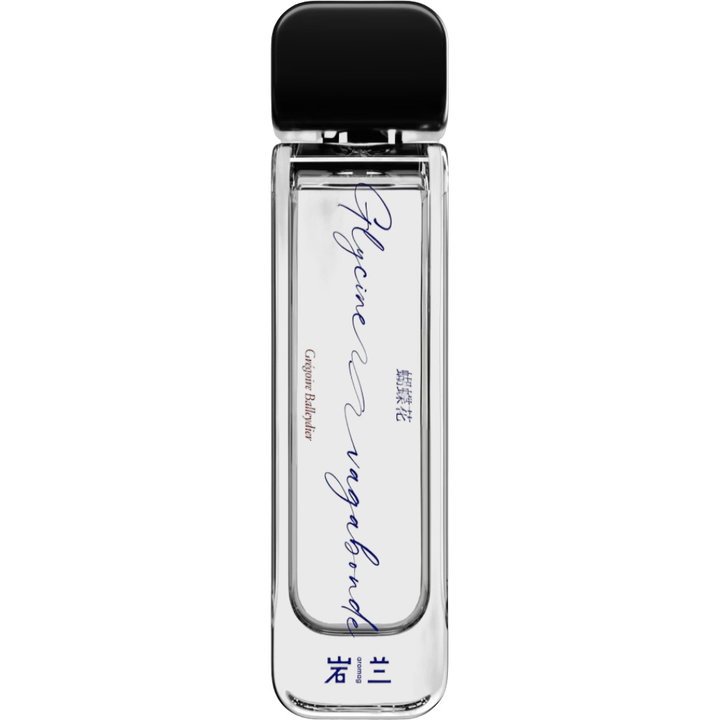 Glycine Vagabonde
