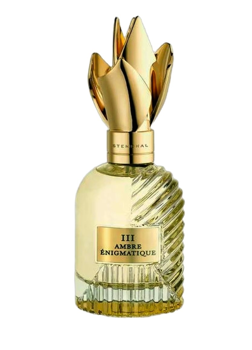 III. Ambre Enigmatique