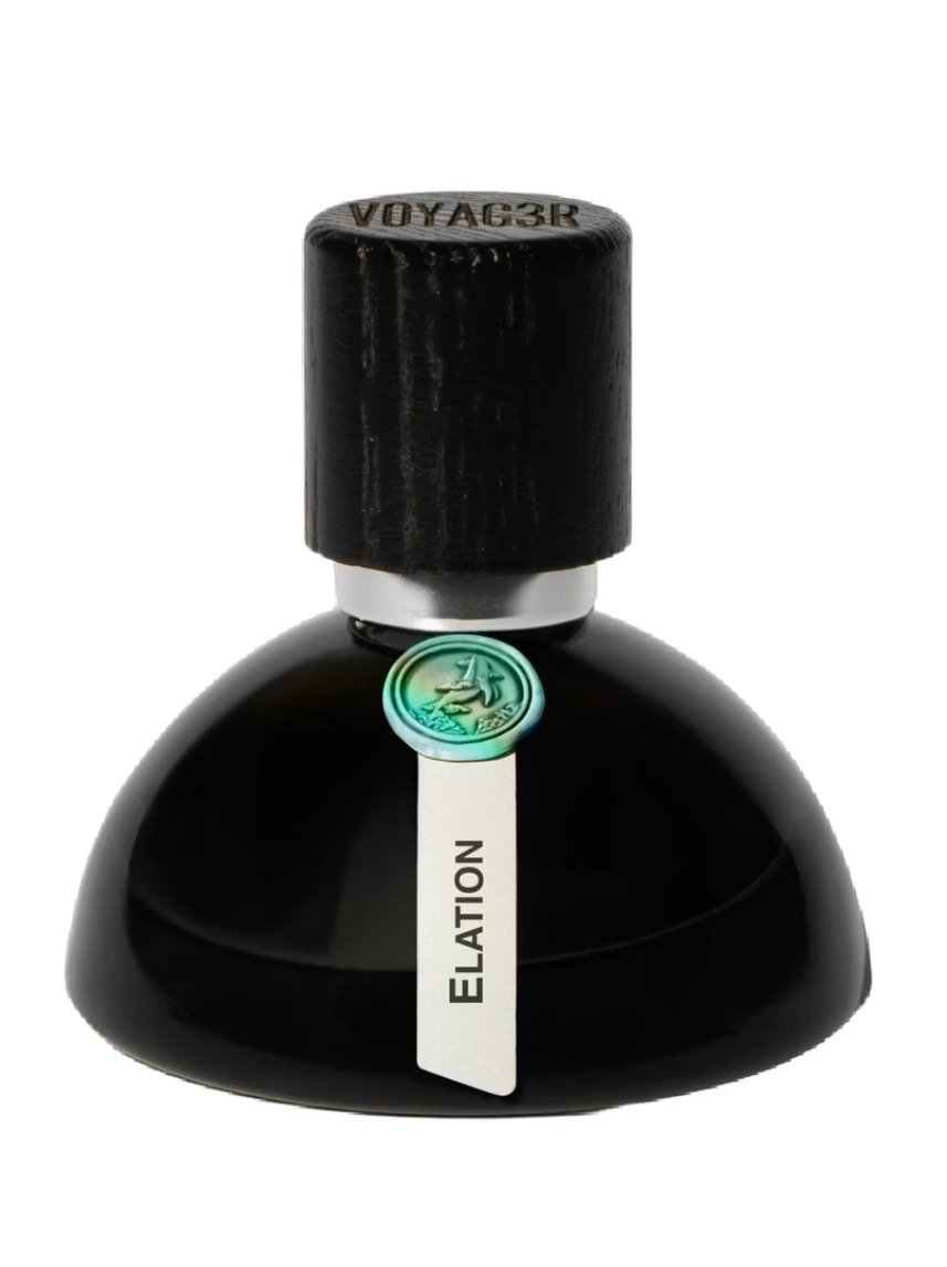 Voyagər: Elation