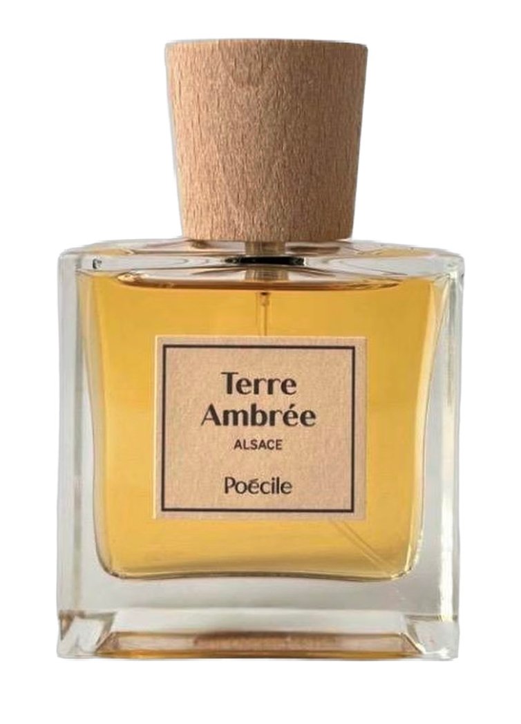 Terre Ambrée