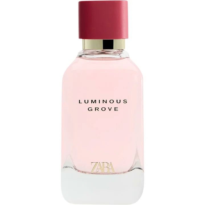 Luminous Grove