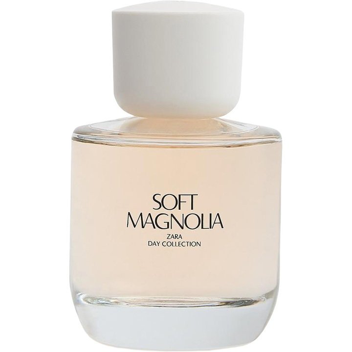 Soft Magnolia