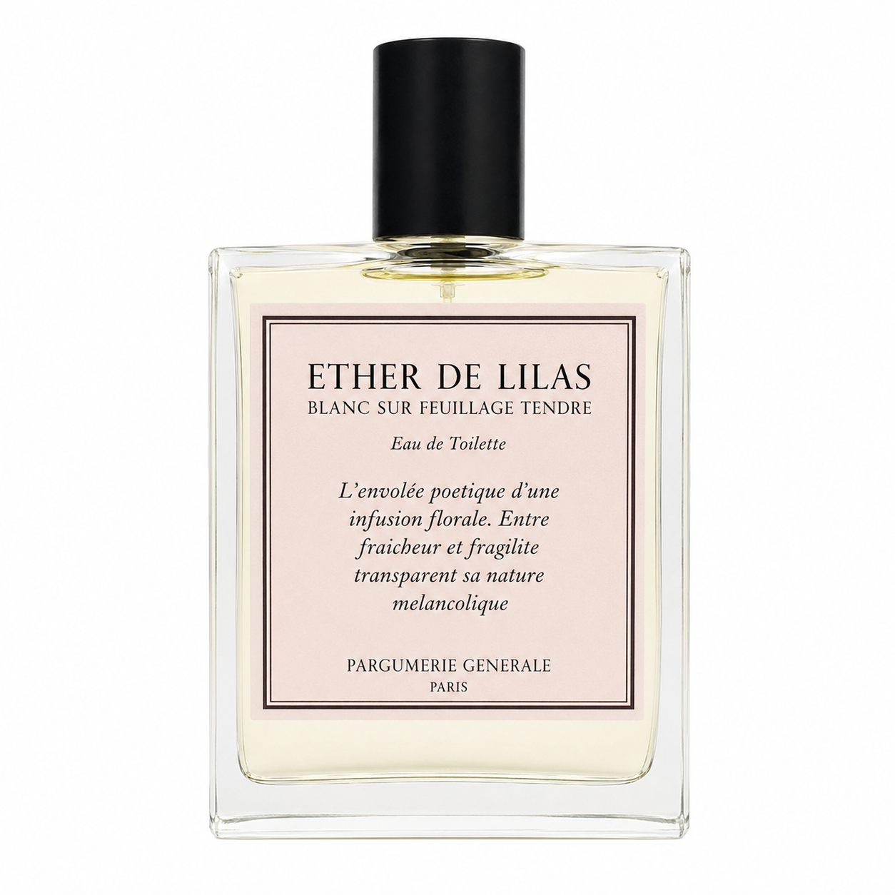 Ether de Lilas Blanc sur Feuillage Tendre