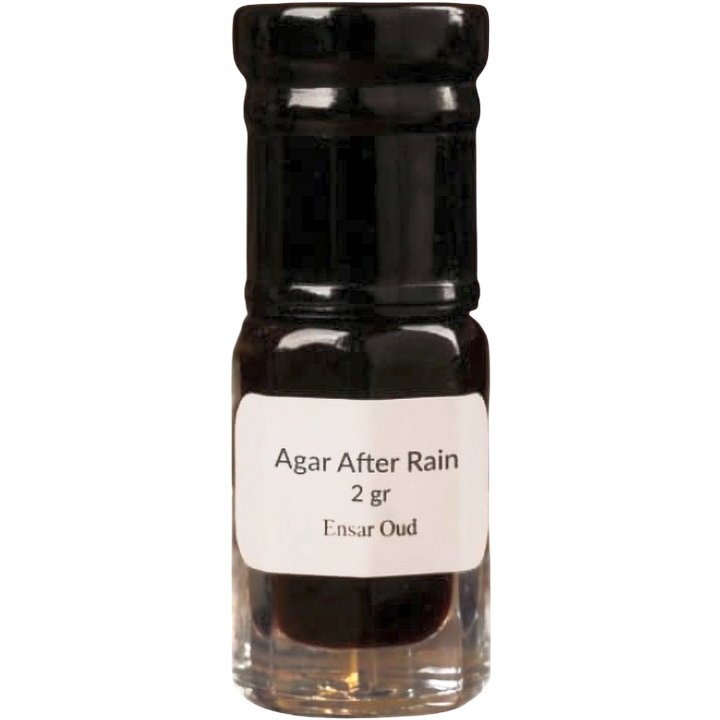 Agar After Rain